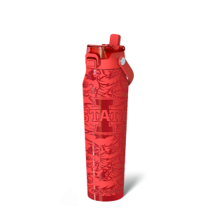 Bottle Buddy 32oz | Iowa State Cyclones | Color Rush